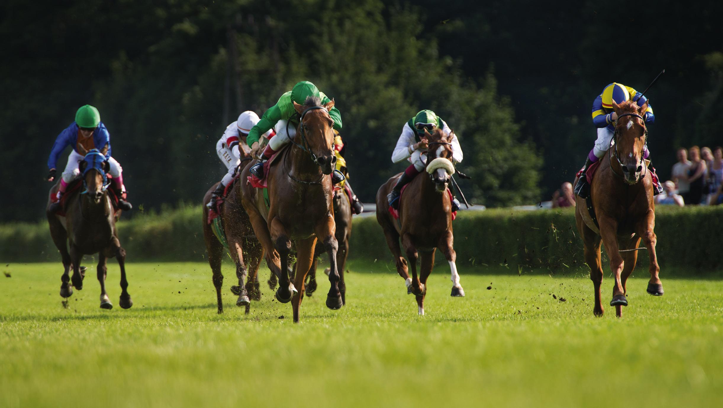 All the horses in this year’s Derby, descended from him | The Advance ...