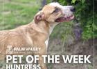 Palm Valley’s Pet of the Week filled with sweetness 