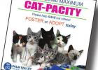 PVAS is at Maximum ‘Cat-pacity’