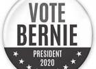 I voted for Bernie