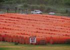 Hundreds of massive floating buoys are stored in Shelby Park in downtown Eagle Pass awaiting installation on the Rio Grande as part of a federal immigration crackdown on July 14. BOB DAEMMRICH/ Special to The Texas Tribune
