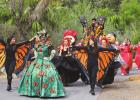 Celebrate the return of Monarch Butterflies at Quinta Mazatlán
