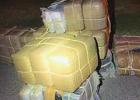 Rio Grande Valley Agents Seize over $750K worth of Drugs
