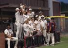 The PSJA Bears' dugout celebrates after a run on Tuesday in San Juan. | P.J. Hernandez/ANJ Article Image Alt Text