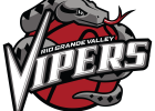 Source: RGV Vipers Article Image Alt Text