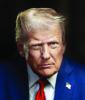 President Donald Trump is seen. White House Photo