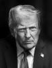 President Donald Trump is seen in this portrait. White House Photo